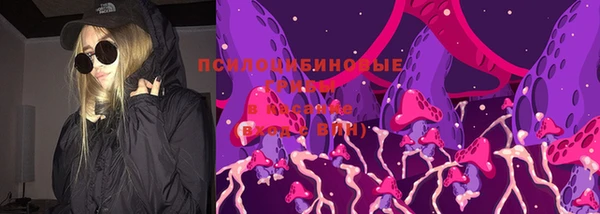 спиды Богородск