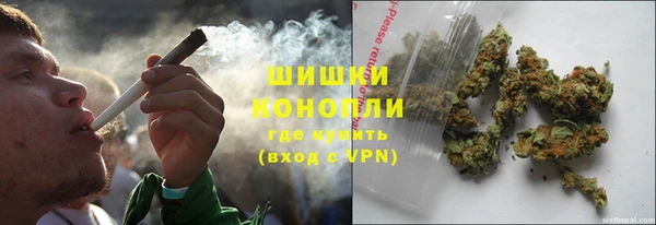 спиды Богородск