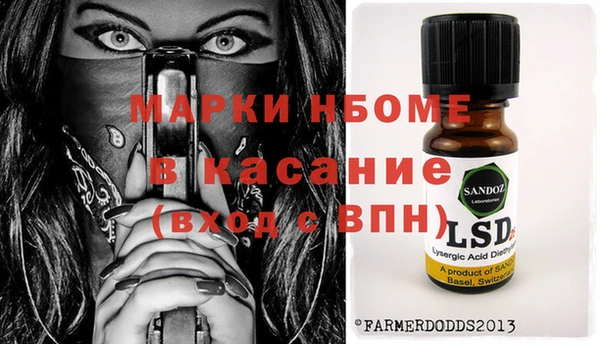 прущие грибы Богородицк