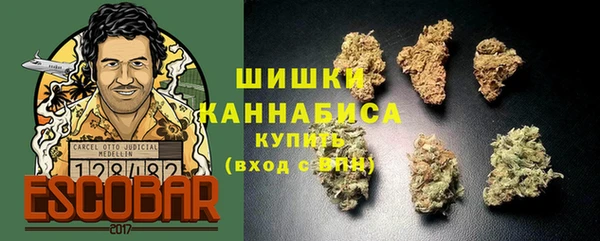 прущие грибы Богородицк