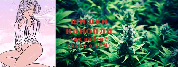 дурь Бородино