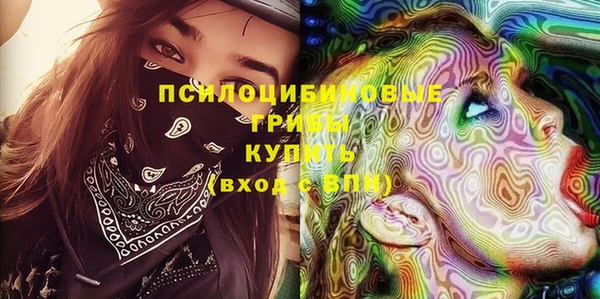 ГАЛЛЮЦИНОГЕННЫЕ ГРИБЫ Бронницы