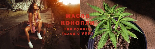 твердый Богданович