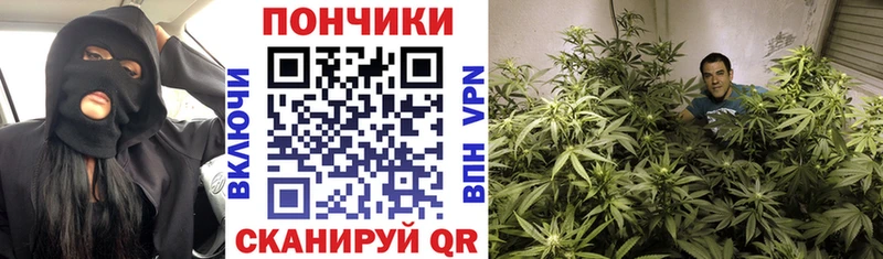 МАРИХУАНА план  МЕГА ССЫЛКА  Наро-Фоминск 